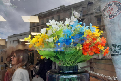 Flowers in the window of St Margaret’s Hospice shop, Bridgewater.