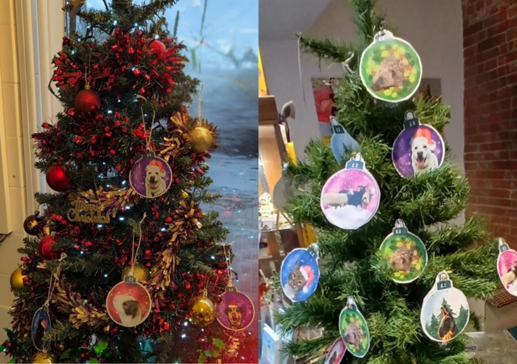 PACT Animal Sanctuary Christmas trees.