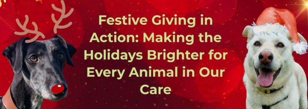 PACT Animal Sanctuary Christmas time title banner with festive dogs.