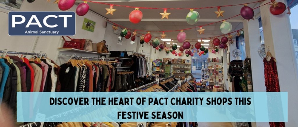 PACT Animal Sanctuary Christmas time title banner with shop image.