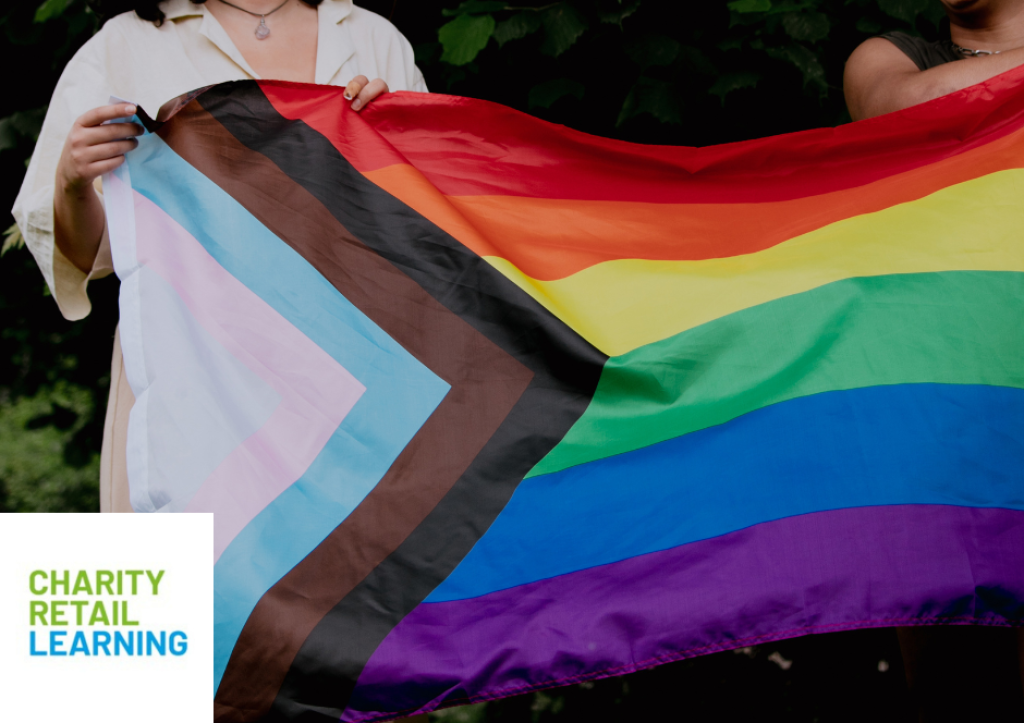 Company logo and Pride flag.