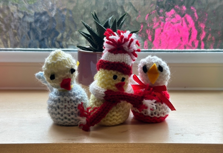 Some chicks that have recently been made by Garden House Hospice Care volunteers.
